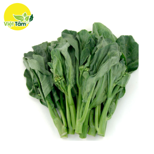 Cải rổ - HHC - Đà Lạt