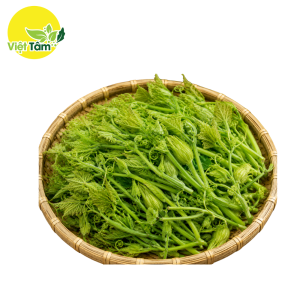 Ngọn bí/Đọt bí đỏ - Lâm Đồng