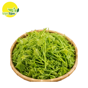 Ngọn su su - HCC - Đà Lạt
