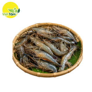 Tôm Đất (Kg)