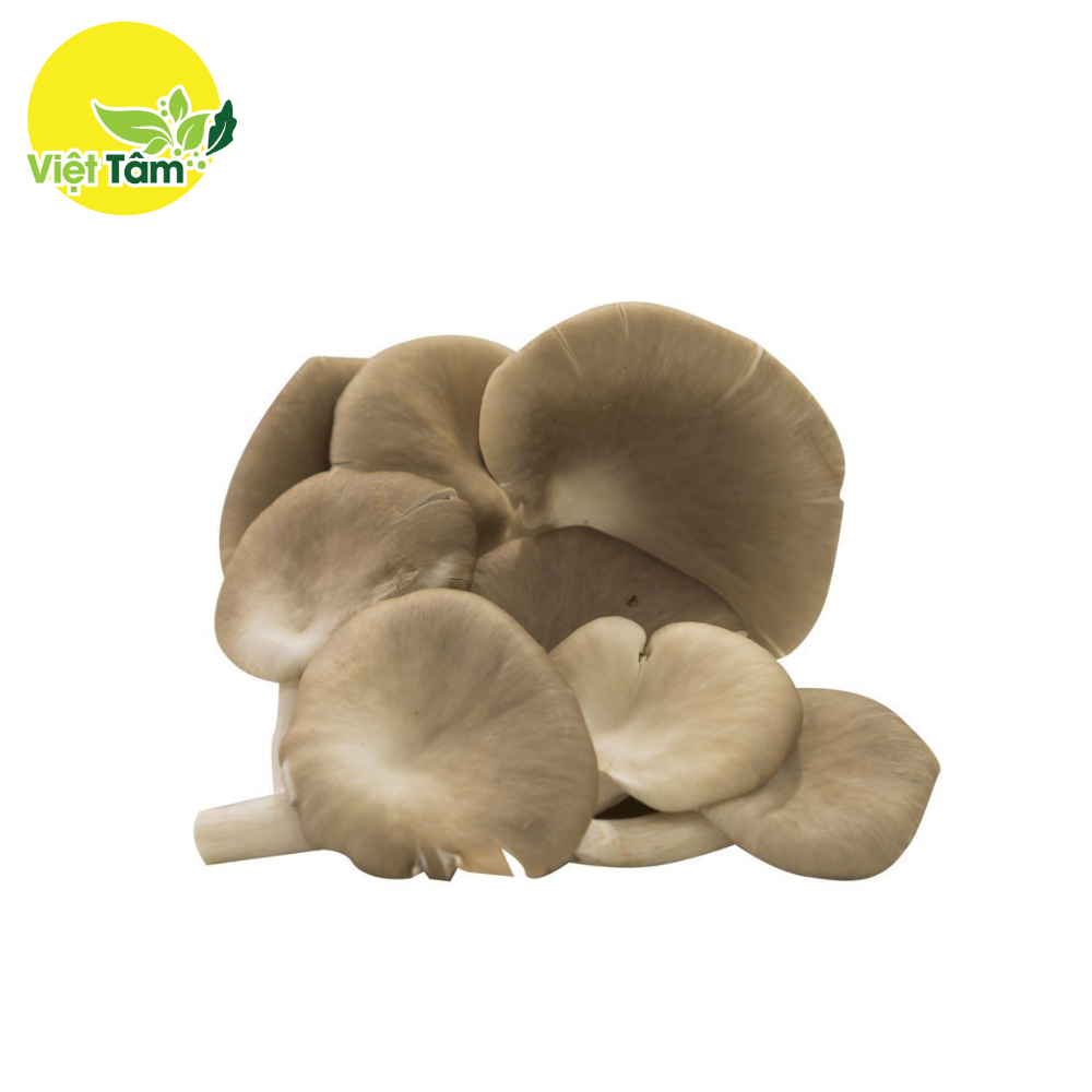 Nấm Bào Ngư Xám (Kg)