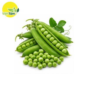 Đậu Hà Lan - Đà Lạt