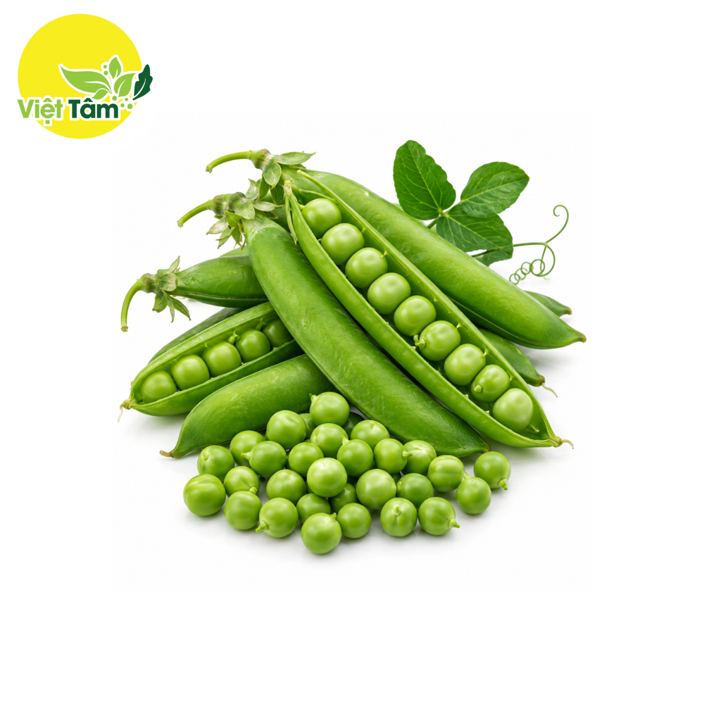 Đậu Hà Lan - Đà Lạt
