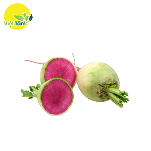 Củ cải trắng ruột hồng - Đà Lạt