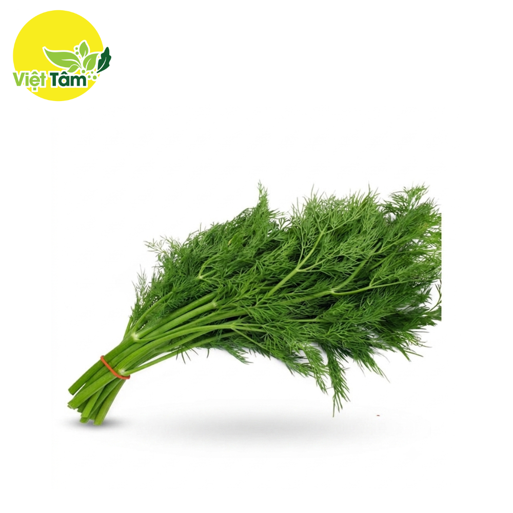 Thì là - Hữu cơ