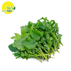 Cải trời - Hữu cơ