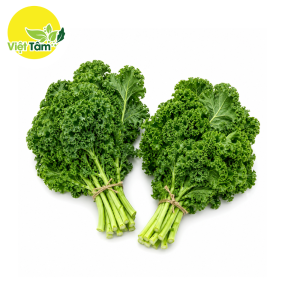 Cải Kale (Cải Xoăn)
