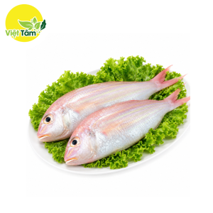 Cá đổng
