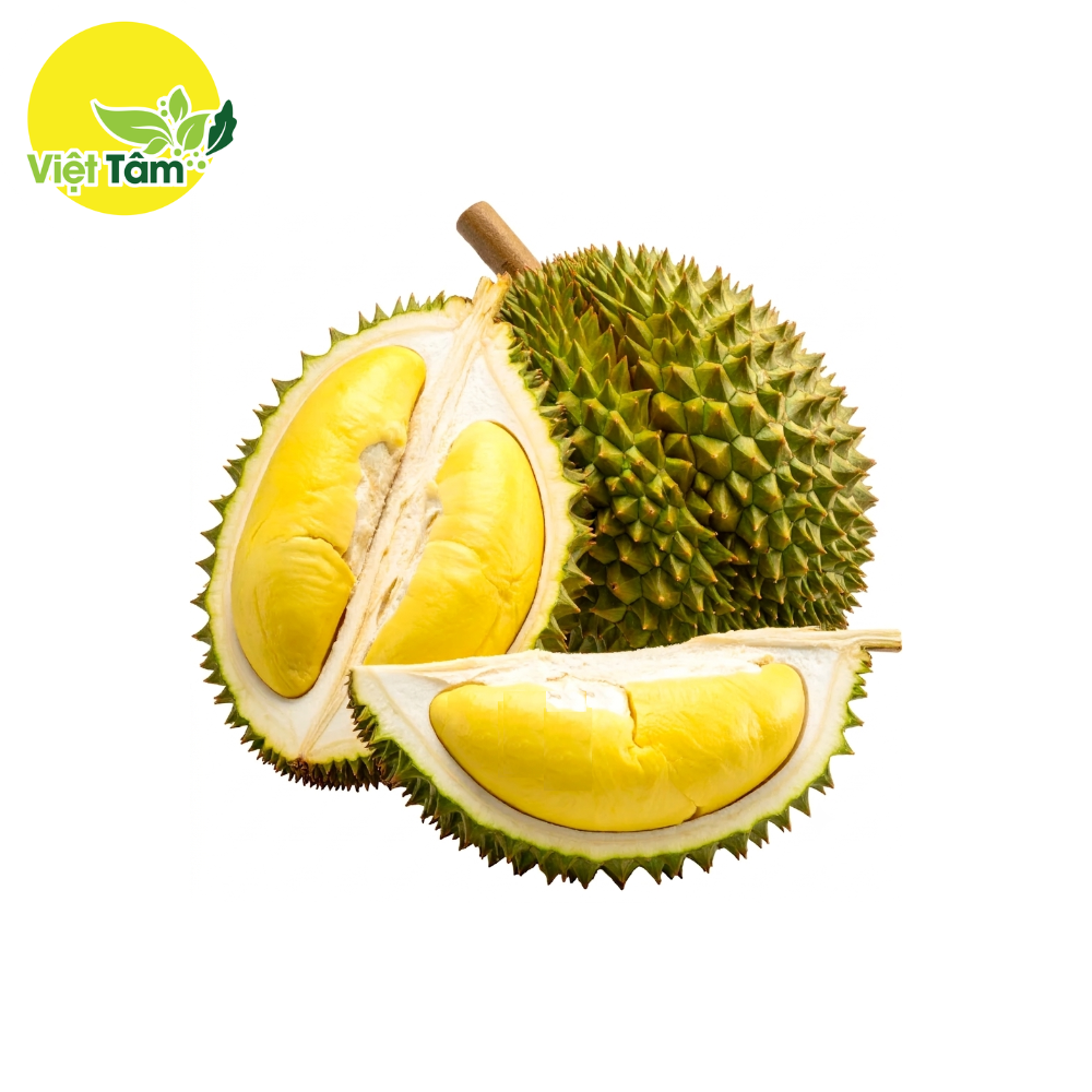 Sầu riêng 6Ri