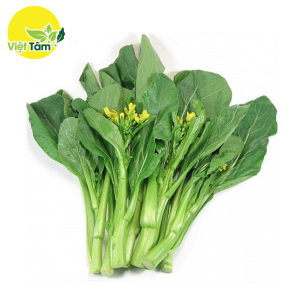 Cải ngồng - Hữu Cơ - Lâm Đồng