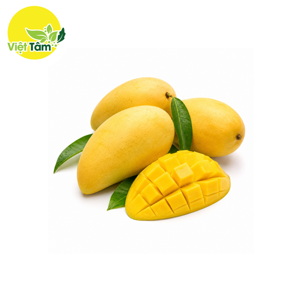 Xoài cát hòa lộc