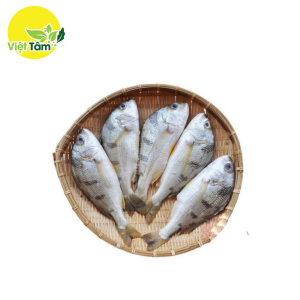 Cá vằn vện