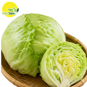 Xà lách Iceberg (xà lách Mỹ) - Đà Lạt