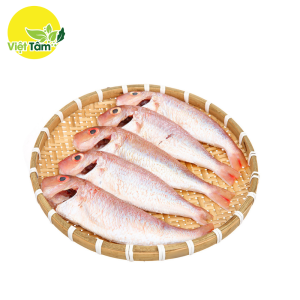 Cá hường
